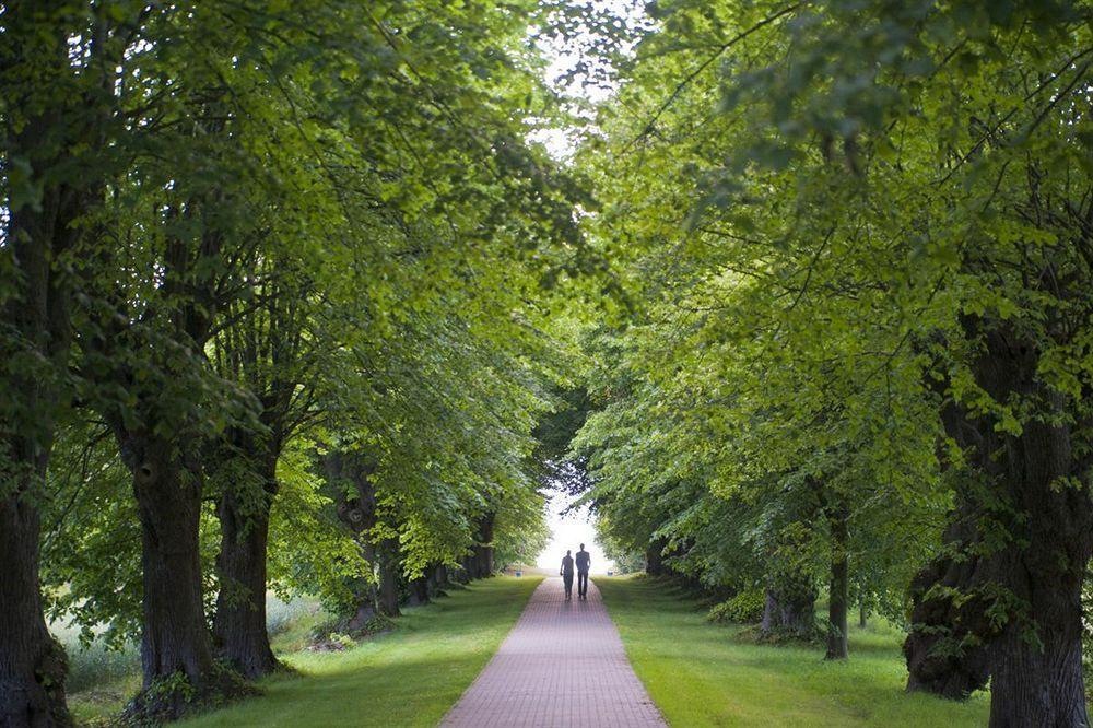 Schlossgut Groß Schwansee Zewnętrze zdjęcie The avenue of lime trees