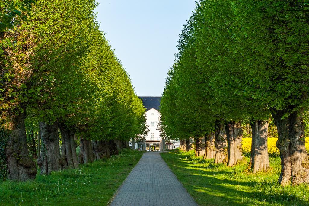 Schlossgut Groß Schwansee Zewnętrze zdjęcie The linden tree avenue